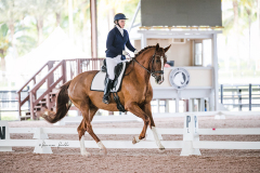 3C36973C-8D24-49BC-9EE8-182F2F223139