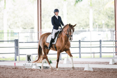 943C0935-1CAE-497E-A24E-327EC9844E32