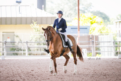 C1EA85F1-B7C5-47ED-9DB3-6BA83BB9E06F