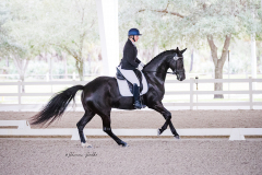 353C7B70-7507-4969-B47B-2661AFFDF4F9