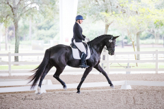 5E267433-5B7B-490C-A28E-DA85B2BFDC15