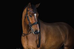 marne031024-0045-bb