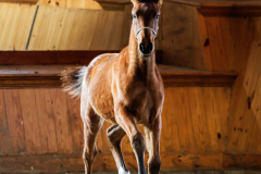 IMG_1441
