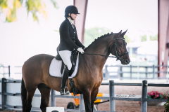 0320FE29-DD02-4B90-B12B-6132A82B01CE