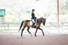 5CF02961-28D8-42D8-AE5F-8C73B2FB5E02