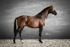 grandcoeur16