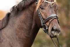 grandcoeur17