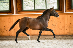 grandcoeur19