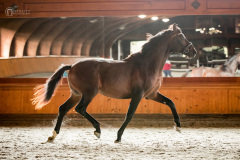 grandcoeur21