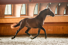 grandcoeur23