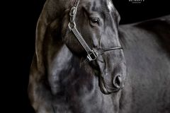 IMG_1019