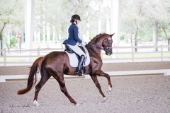 8B7F0949-DE65-4877-8192-36764872314A