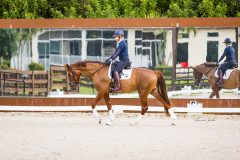 marne122223-8110