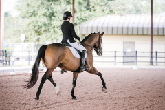 1D1825EA-C261-428D-9B71-A6EA36C2BC65