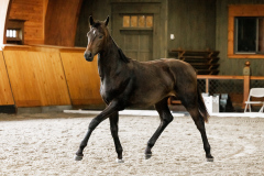 06825622-9F70-4C72-ABAC-405A8AA31A87