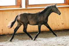 0A5AE1A3-D8A0-4455-A5AC-14E6235D49B6