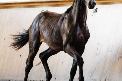 1AACDA64-23E3-4871-B571-3E1C3839863A