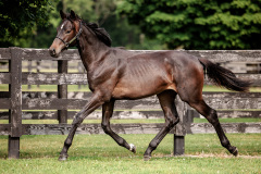 28E4D03F-383D-4A8E-A88D-5550EE0234CB