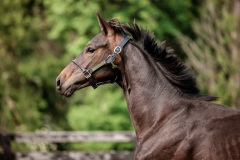 2BB95BAF-0C37-41A2-AD1A-7F8403B31FC8