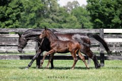 2C257422-A2E0-428B-9923-3ED1D482452E