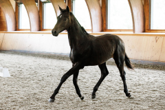 352D8290-5E0F-49B3-A0F4-6D02D7845D32