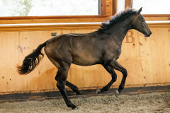 408E0167-7C72-4C39-A9C0-94CA5750E905