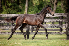 4518CC3D-6B5D-435E-8CFA-FB1D96476194