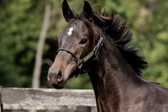 5C69E9E4-6797-4391-BB75-2DFE0F311CD5