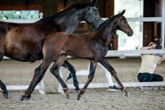 671E0682-5B4D-46B0-8D50-47E861740D17