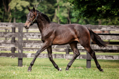 6927DD8D-71E0-4472-86F7-A85BB1D94029