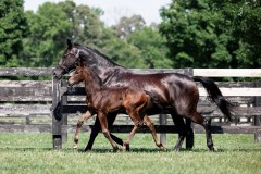 90CB307B-4102-441A-AB58-58CB6912E544