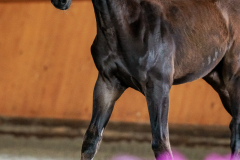 C2AC2305-3B66-4EE1-A384-7398DA2DE13D