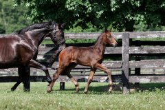 D4B13B63-619E-4C8A-8974-C82B9CA63FB1