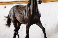 D98AAAE0-EEDF-4B4C-96E0-4E04724436AA