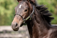 E028CF82-55C1-403D-A0EB-555C2BF43D98