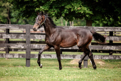 F1DBF888-35FA-4D4C-8C36-5C042D5C78B4