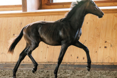 FC5F6542-1A02-4A95-A52F-FA6089DA9B78