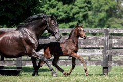 FD367CEB-7F47-4E43-8067-87A24C451D71